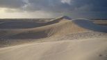 Australien Weisse Wueste Nambung N. P