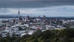 auckland6