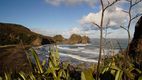 auckland piha