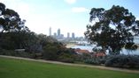 perth kings park2