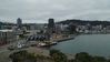 wellington5